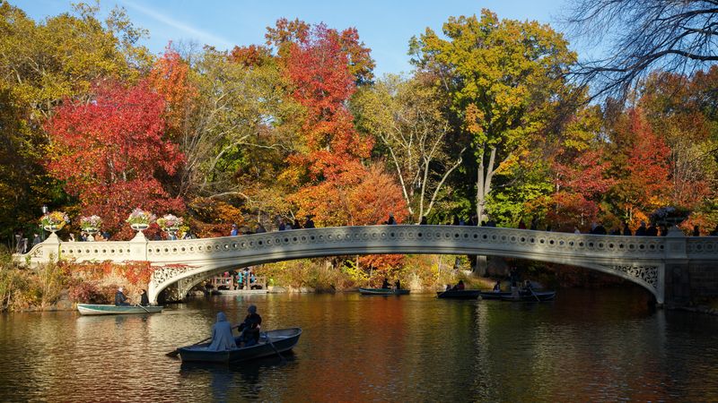 Cross Iconic Bow Bridge