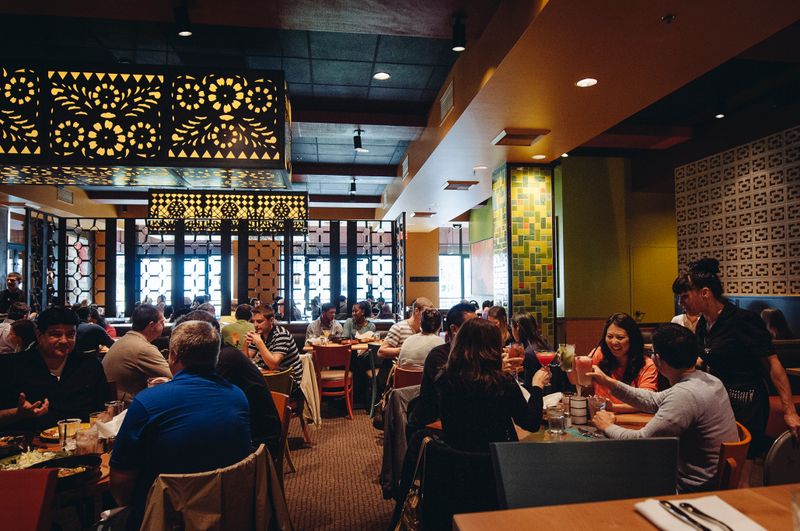 Cactus - Seattle, Kirkland & Bellevue