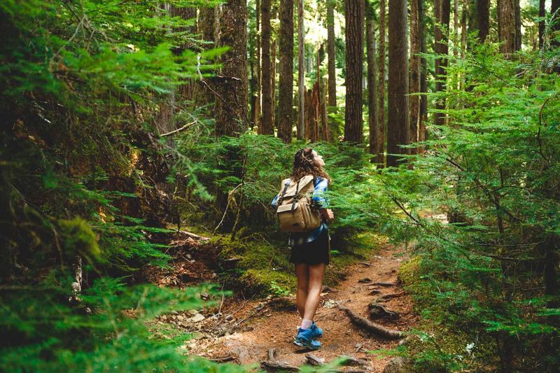 Precipitation Nearly Every Day