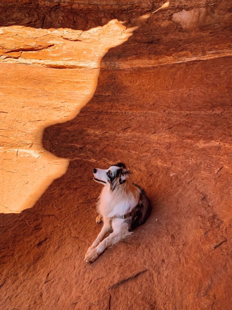 Rest breaks and shade strategy