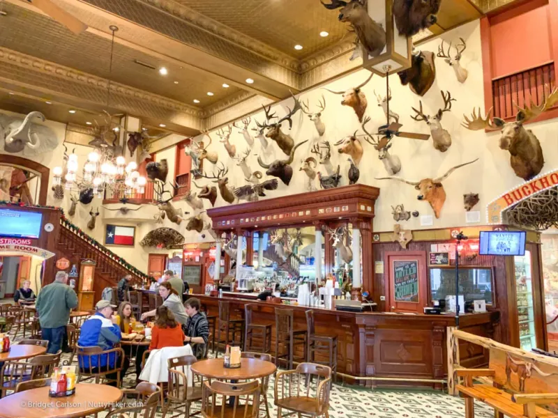 Saloon Experience Meets Museum Visit