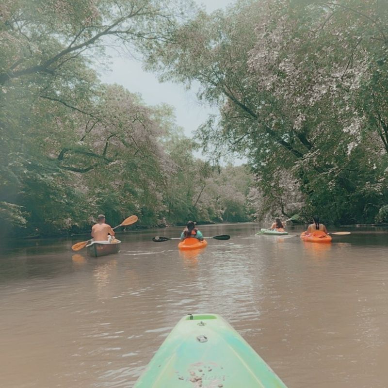 Endless Fishing Spots for Peaceful Mornings