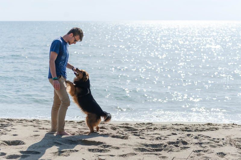 There’s a Pet-Friendly Beach Area