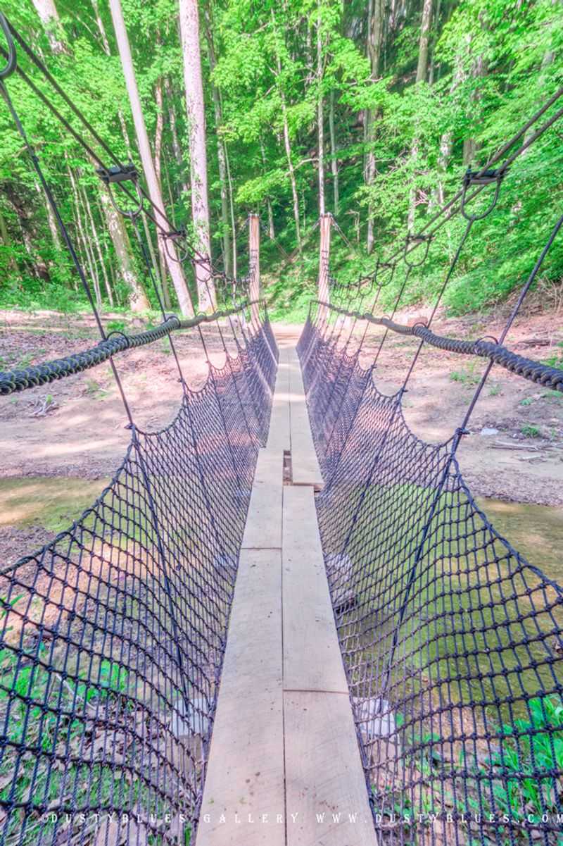The Suspension Bridge Is a Highlight