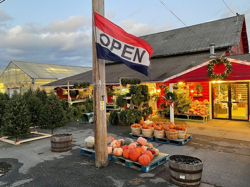 Black Horse Farms Café (Athens)