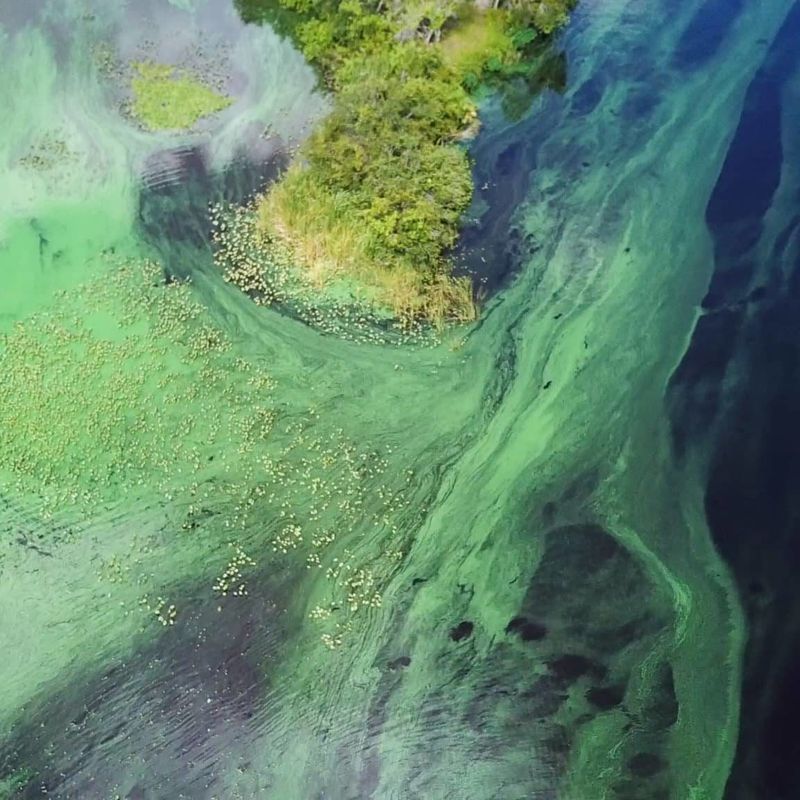 It Once Altered Water Flow and Now Restoration Efforts Are Reversing That