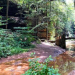 The Ohio Trail That Almost Vanished – Now One of the Nation’s Top Hikes