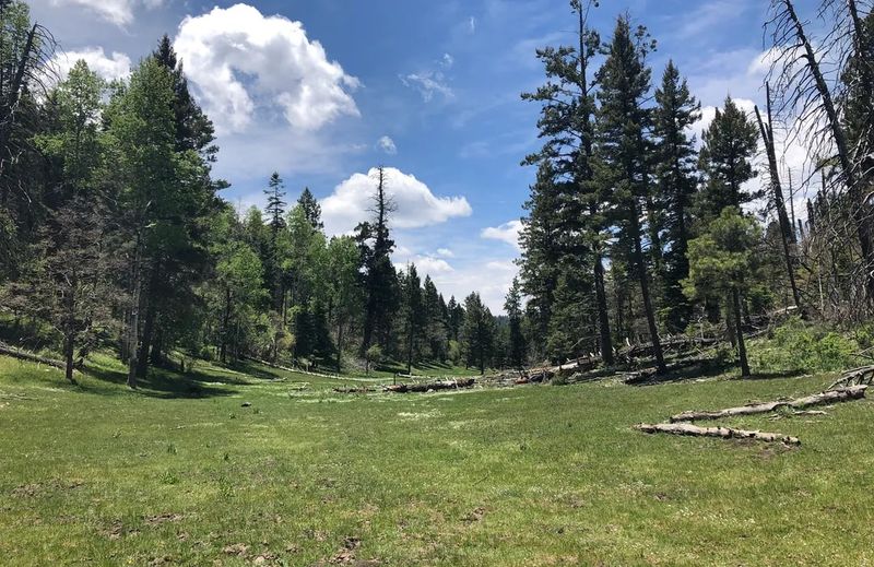 It’s Surrounded by the Lincoln National Forest