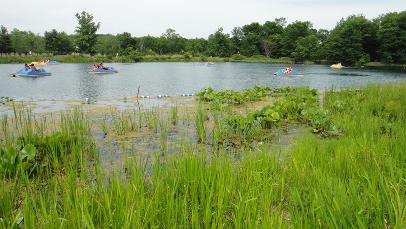Closure of Amusement and Water Park