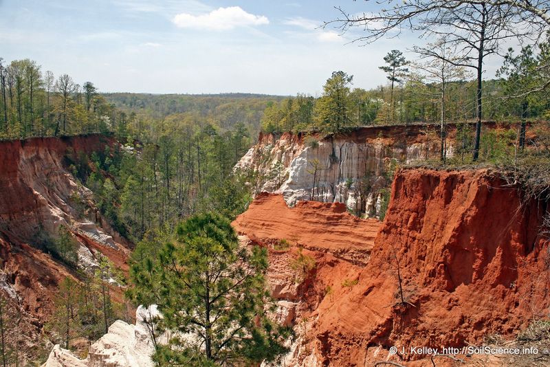 Providence Canyon (“Georgia’s Little Grand Canyon”), Georgia