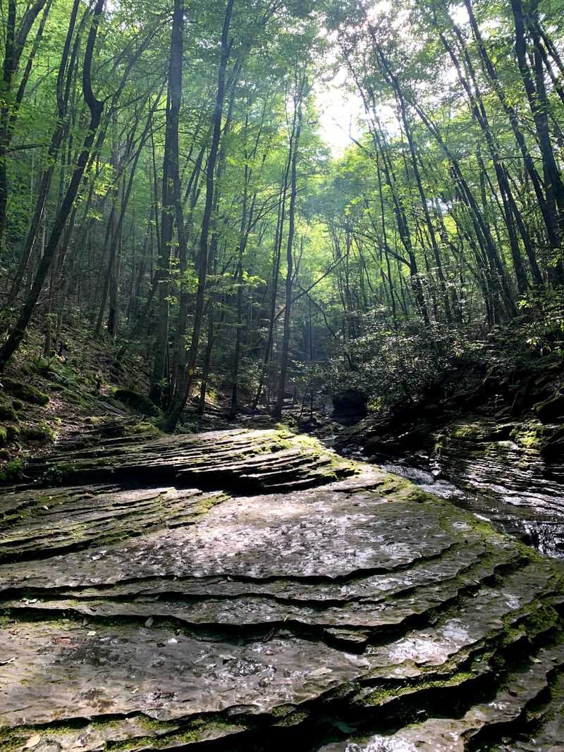 Nature + holiday magic - a mountain-park setting adds to the charm.