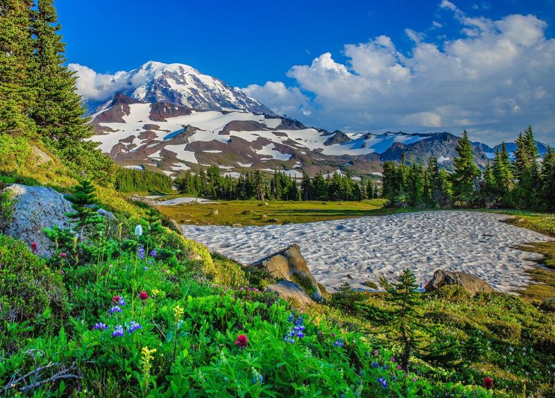 More rain, less snow