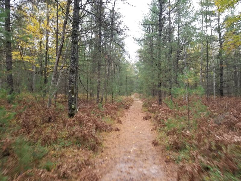 Hiking Trails Are Peaceful and Low-Stress