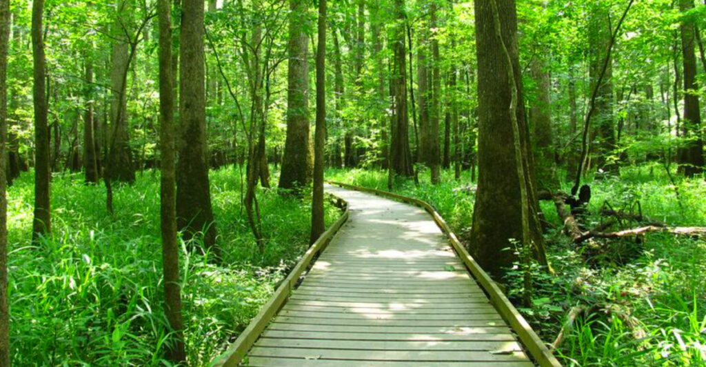 These 15 Underrated U.S. Landmarks Deserve a Spot on Your Travel List