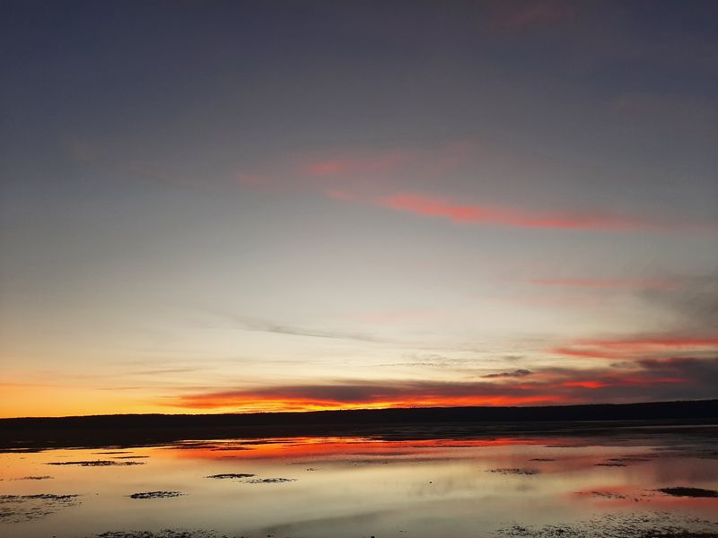 Borderline Beauty at Sunrise