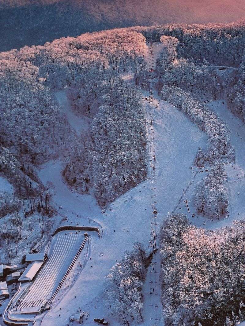 Hit the Slopes: Skiing and Snowboarding