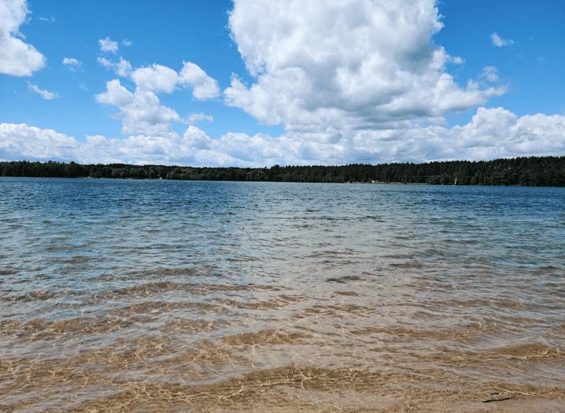 It Lives Up to Its Name