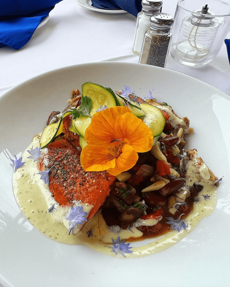 The Duck Everyone Talks About