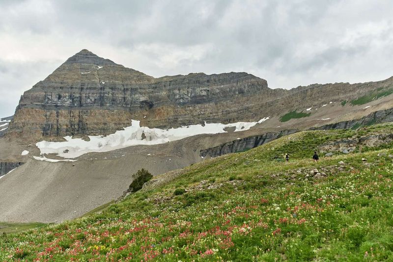 Distance and Elevation Gain