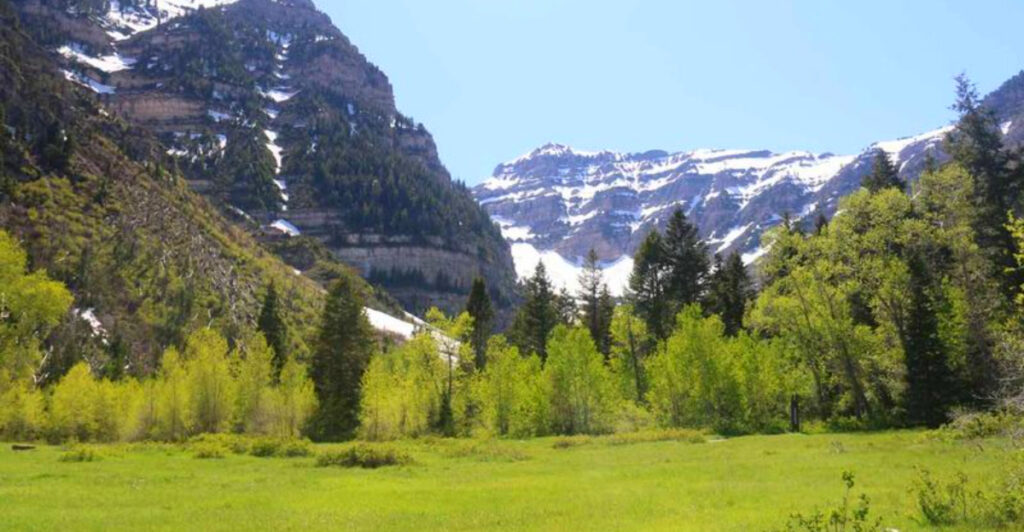 This Utah Trail Delivers One of the Most Thrilling Alpine Hikes in the State