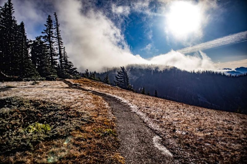 Olympic Mountains and Hurricane Ridge, Washington