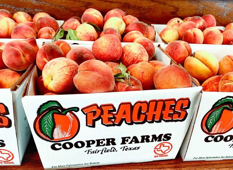 Cooper Farms