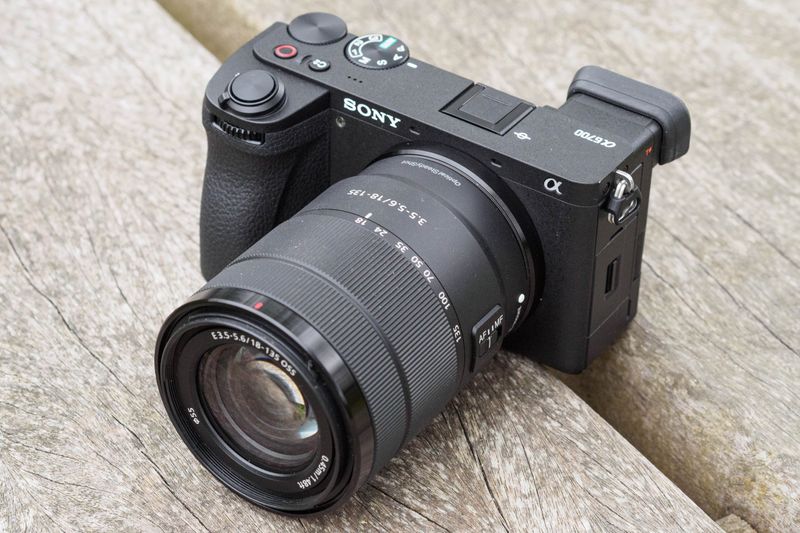 Sony a6700 (APS-C Mirrorless)