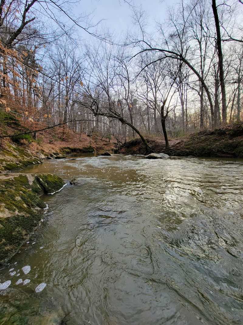 Ecological and Environmental Importance