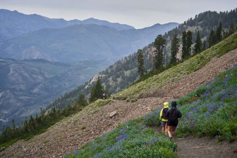 Trail Timing and Pacing