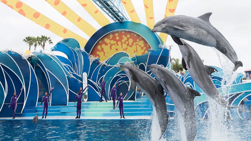SeaWorld Orlando