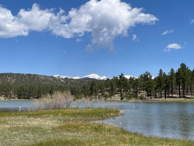 Respect the reserve ethos