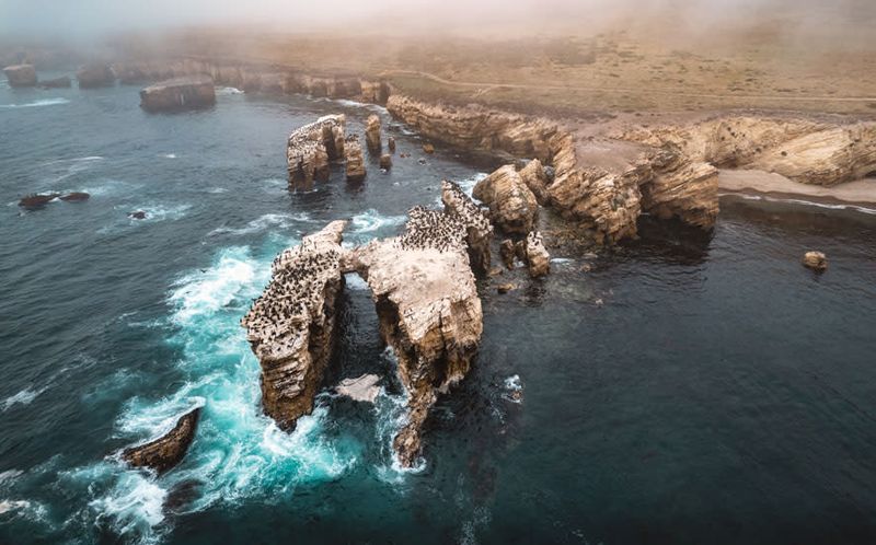 Hazard Reef and Tidepools: Life in the Intertidal