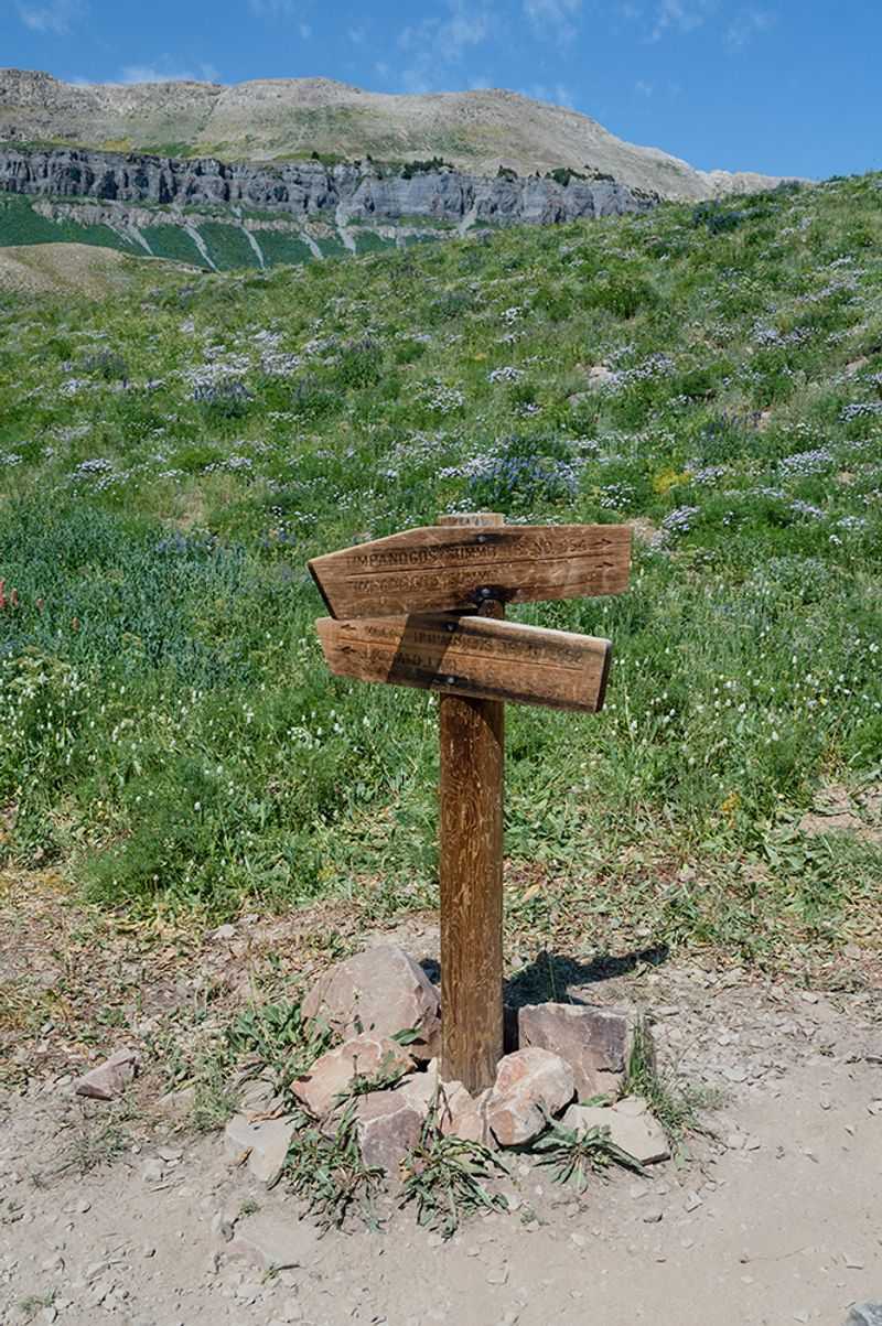 Permit, Fee, and Parking