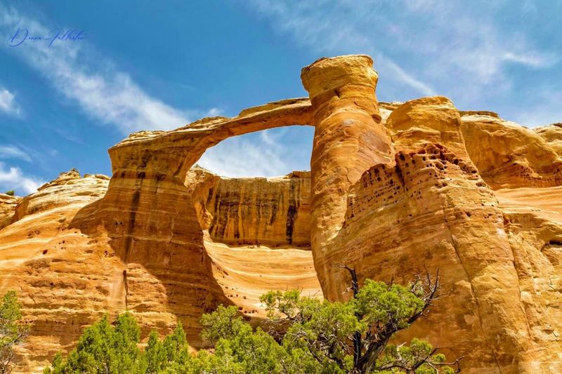 Rattlesnake Arches Trail - McInnis Canyons
