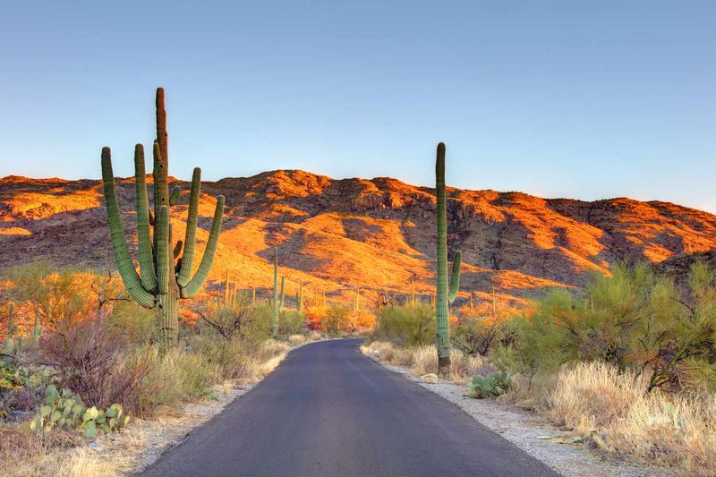 Saguaro National Park - Arizona
