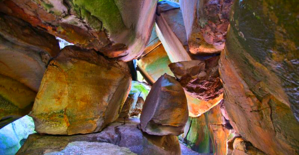 Virginia’s Most Cinematic Forest Trail That Locals Hope You Never Find