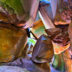 Virginia’s Most Cinematic Forest Trail That Locals Hope You Never Find