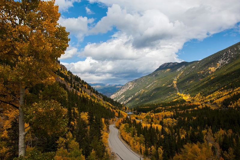Drive or Take in the Views on the Guanella Pass Scenic Byway