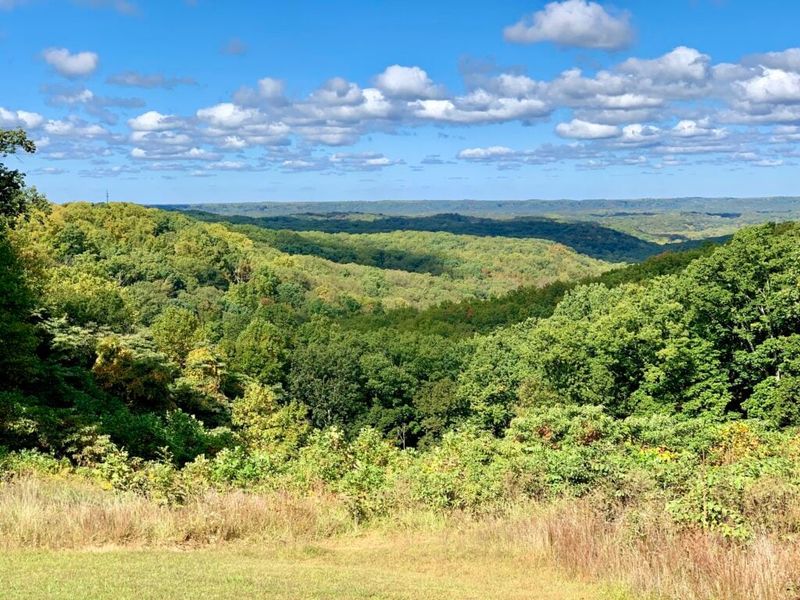 Why “Tucked Between Cornfields and Forests” Fits