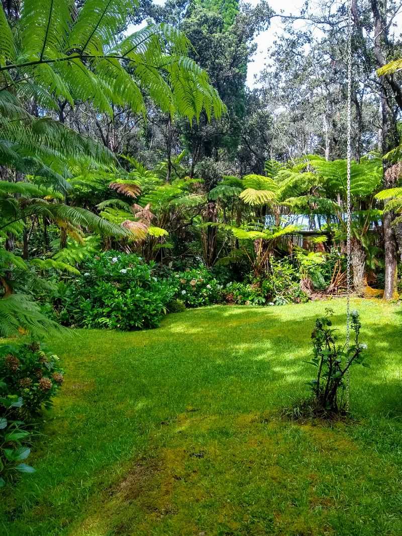 Rainforest Weather and What to Pack