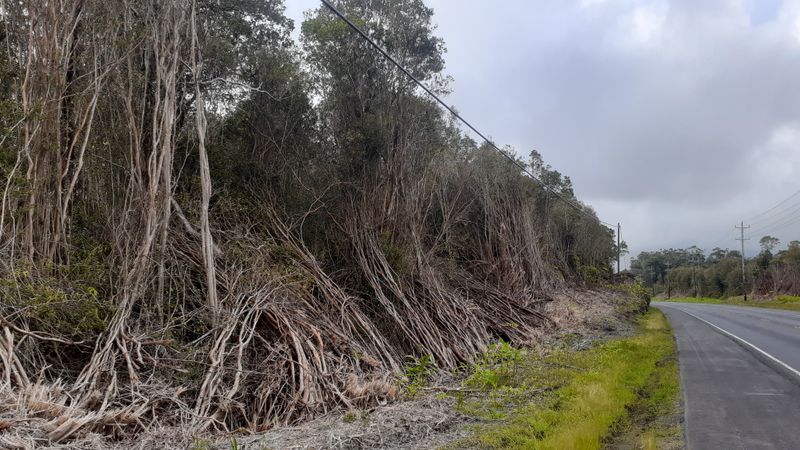 Getting There and Orientation