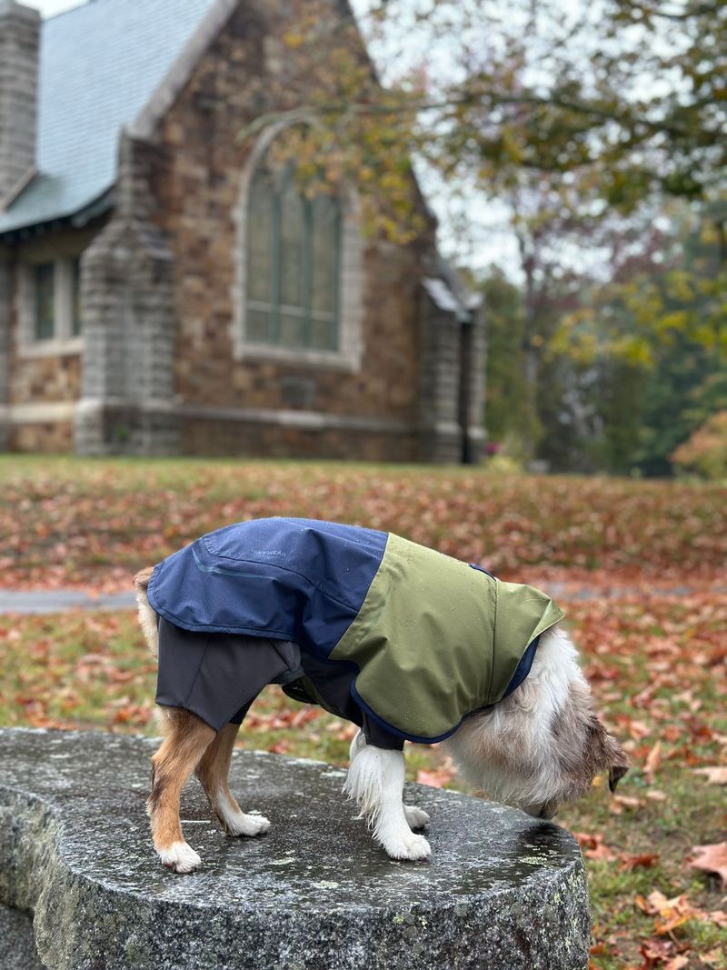 Weather layer (rain jacket/cooling aid/insulated coat)