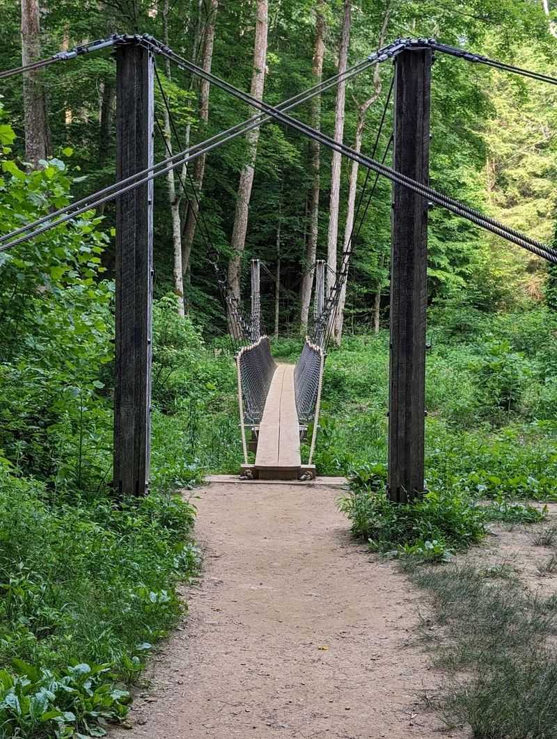 Combine It With the Hemlock Bridge Trail