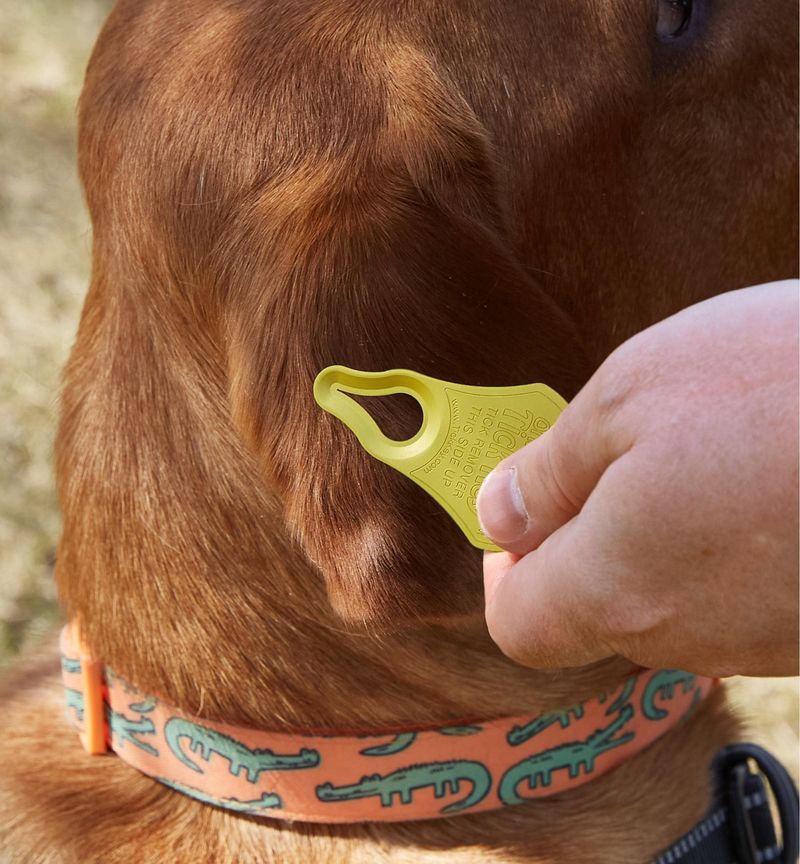 Flea/tick prevention + tick key