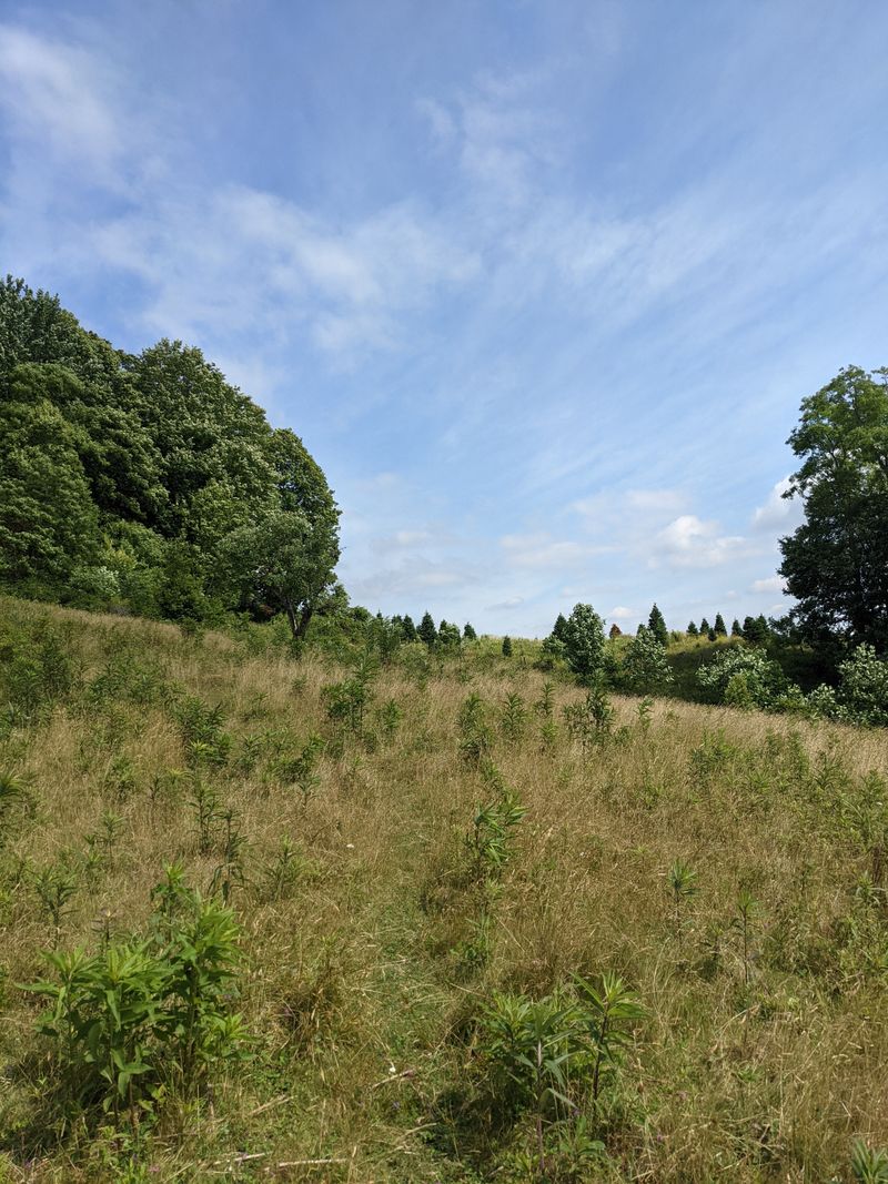 Multiple Access Points