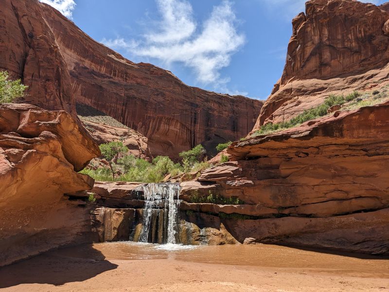 Coyote Gulch (via Hurricane Wash/Red Well), Escalante Region, UT