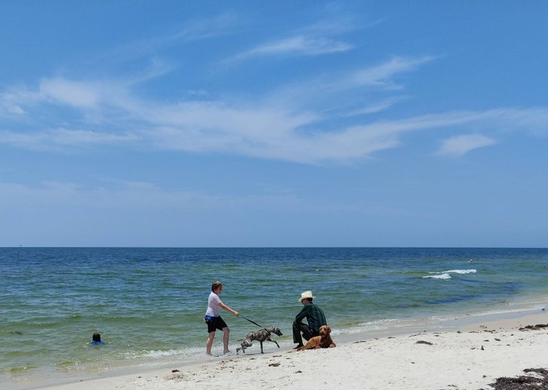 Dauphin Island Public Beach