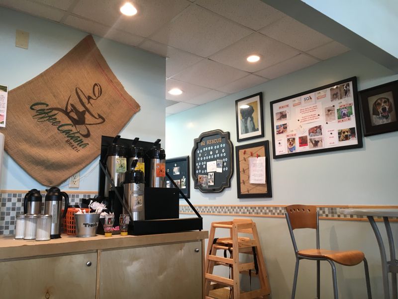 Plan Your Visit: Details That Matter