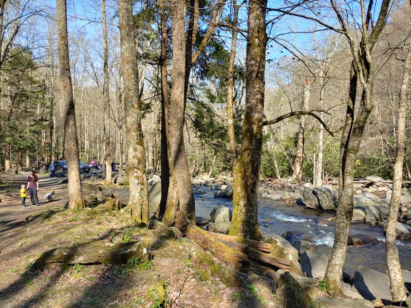 Family Friendly Fun On A Budget