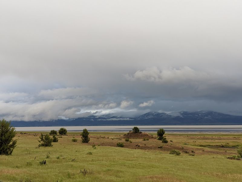 Wind, Weather, and Bug Strategy